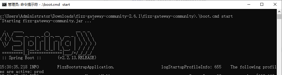 fizz_install_gateway_win_start